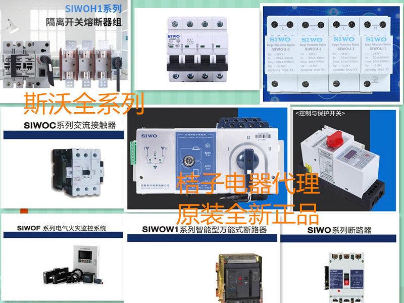 供應SIWOQ1-100/4S116A選擇方法